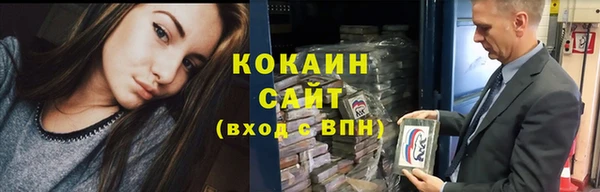 сатива Заволжье